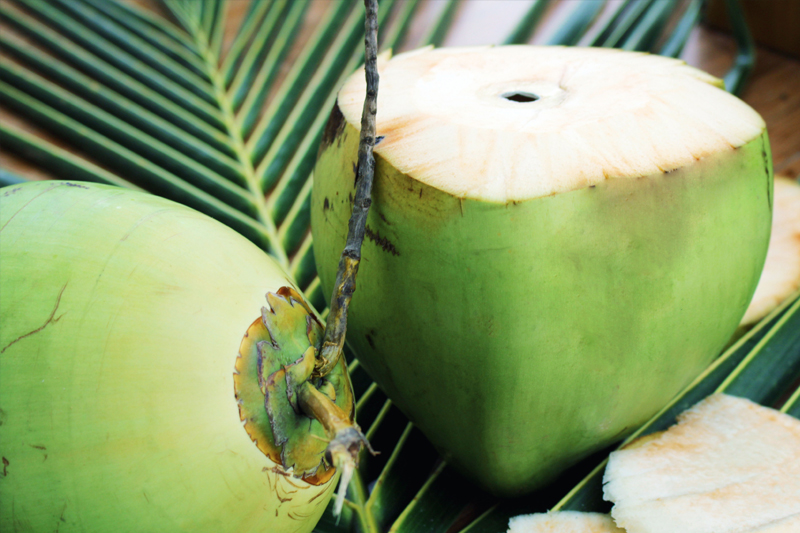 About Dasa Cocos - Coconut based product manufacturer and exporter.